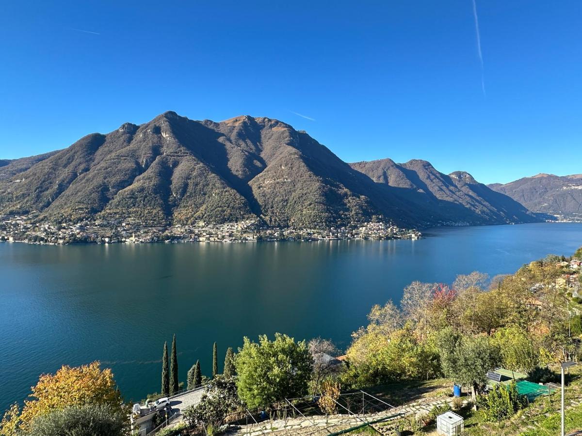 La Casa Del Mastro - Como Lake Pognana Lario المظهر الخارجي الصورة